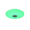 MUSICA R69031901
