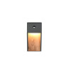 lampa SALMON - CZUJNIK RUCHU 246969135 Trio | Sklep z lampami