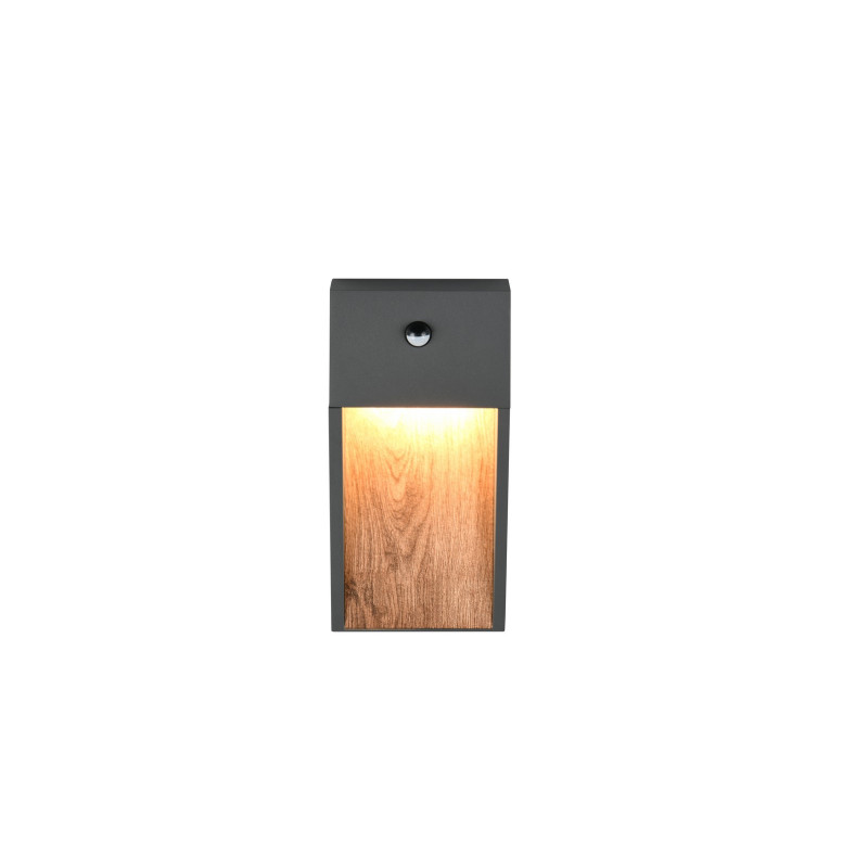 lampa SALMON - CZUJNIK RUCHU 246969135 Trio | Sklep z lampami
