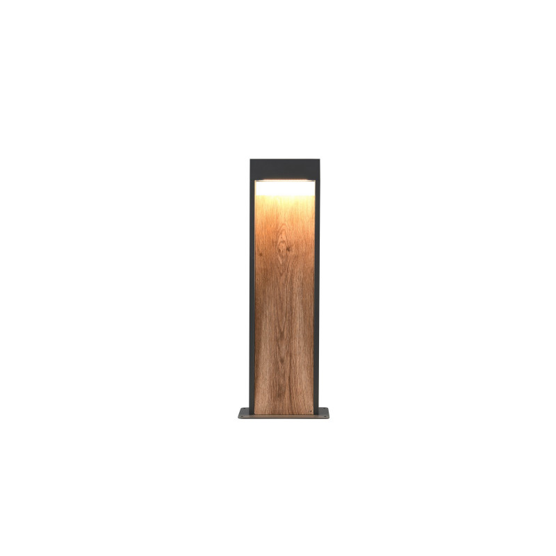 lampa SALMON 546960135 Trio | Sklep z lampami lampa SALMON 546960135 Trio | Sklep z lampami