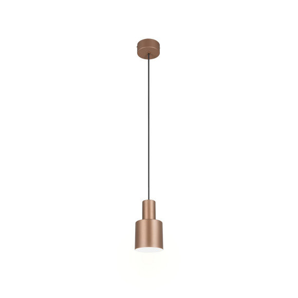 lampa wisząca AGUDO 319400165 Trio | Sklep z lampami