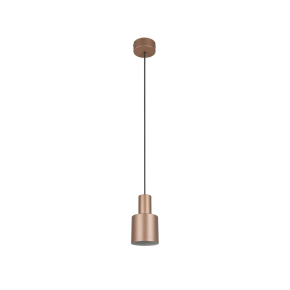 lampa wisząca AGUDO 319400165 Trio | Sklep z lampami