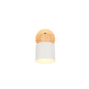 lampa sufitowa SHANTI 862700176 Trio | Sklep z lampami