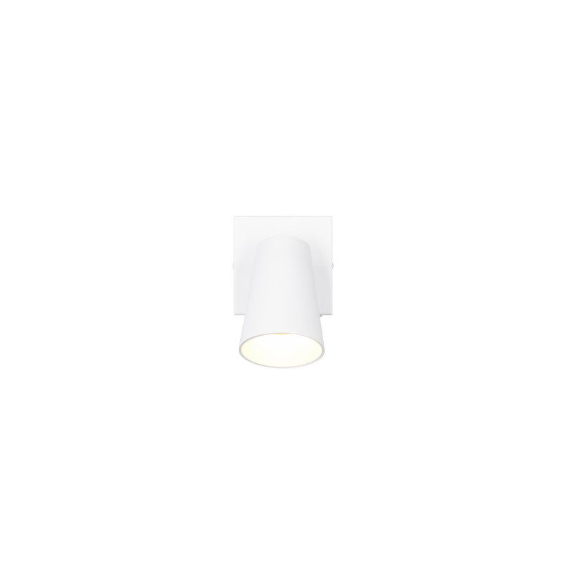 lampa sufitowa SHARP 817170131 Trio | Sklep z lampami