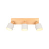 lampa sufitowa SHANTI 862700376 Trio | Sklep z lampami