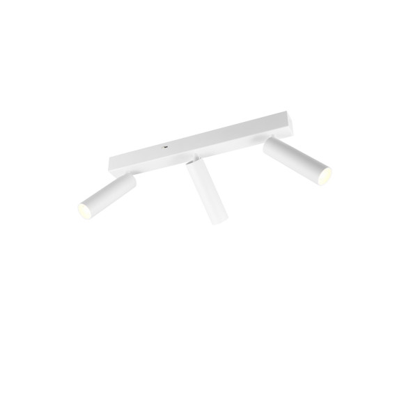 lampa sufitowa AMBALA 849210331 Trio | Sklep z lampami lampa sufitowa AMBALA 849210331 Trio | Sklep z lampami