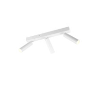 lampa sufitowa AMBALA 849210331 Trio | Sklep z lampami