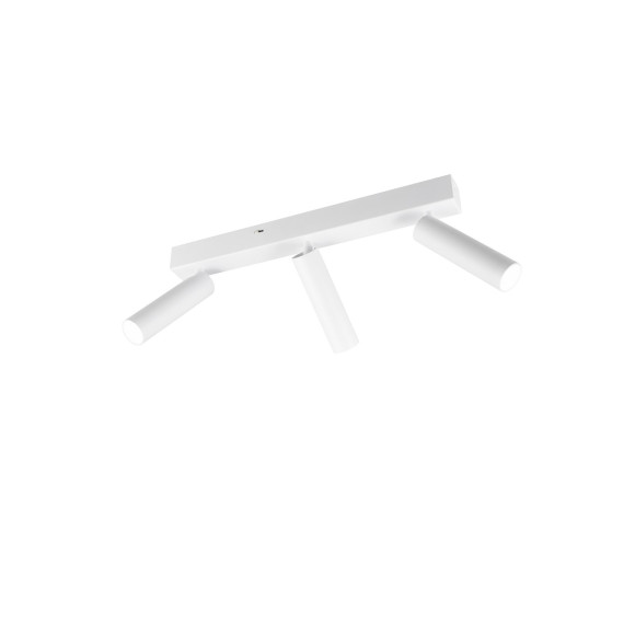 lampa sufitowa AMBALA 849210331 Trio | Sklep z lampami lampa sufitowa AMBALA 849210331 Trio | Sklep z lampami