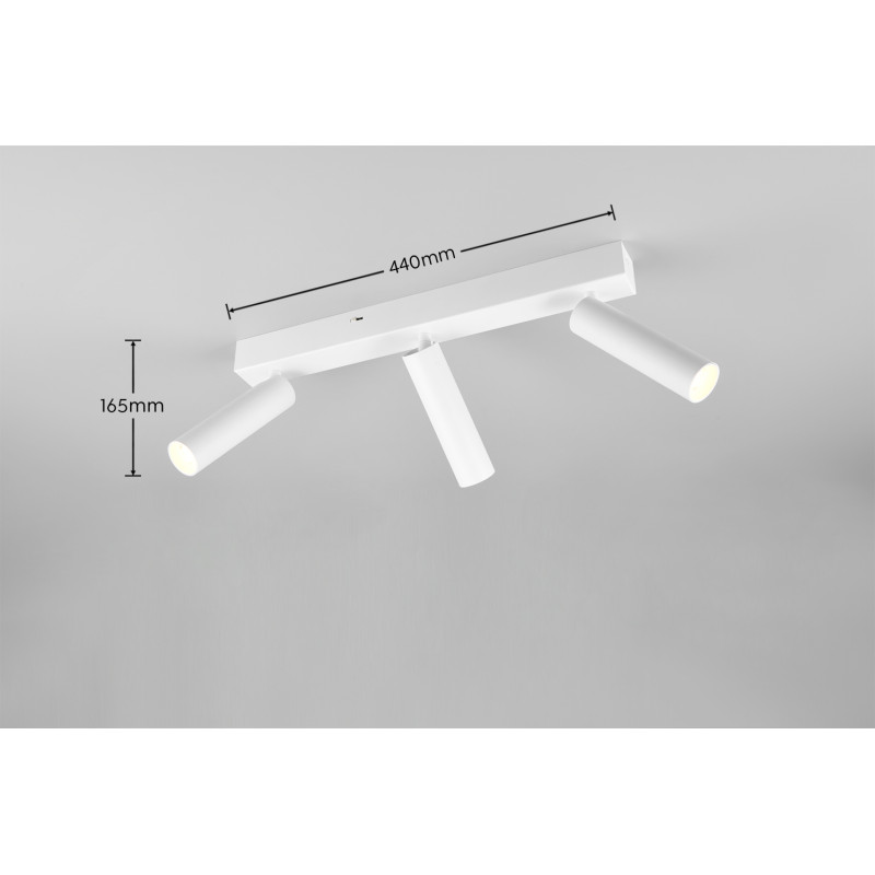 lampa sufitowa AMBALA 849210331 Trio | Sklep z lampami