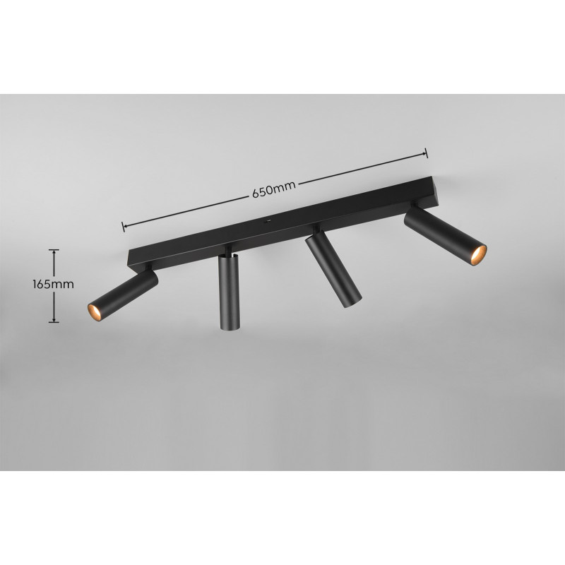lampa sufitowa AMBALA 849210432 Trio | Sklep z lampami