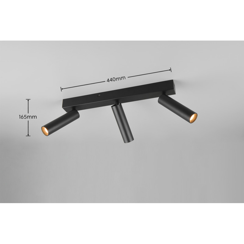 lampa sufitowa AMBALA 849210332 Trio | Sklep z lampami