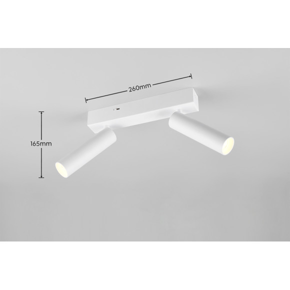 spot AMBALA 849210231 Trio | Sklep z lampami