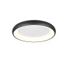 lampa sufitowa CARDONA 649616032 Trio | Sklep z lampami