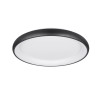 lampa sufitowa CARDONA 649617532 Trio | Sklep z lampami