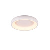 lampa sufitowa CARDONA 649614531 Trio | Sklep z lampami