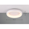 lampa sufitowa CARDONA 649614531 Trio | Sklep z lampami