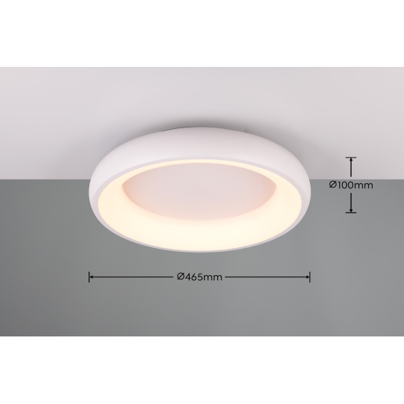 lampa sufitowa CARDONA 649614531 Trio | Sklep z lampami