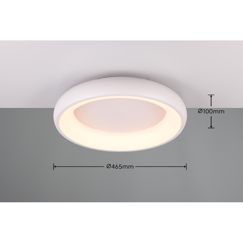 lampa sufitowa CARDONA 649614531 Trio | Sklep z lampami