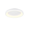 lampa sufitowa CARDONA 649616031 Trio | Sklep z lampami