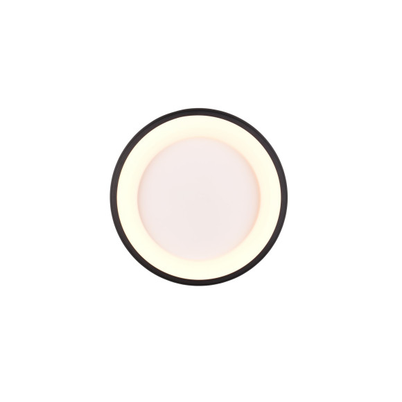 lampa sufitowa CARDONA 649614532 Trio | Sklep z lampami