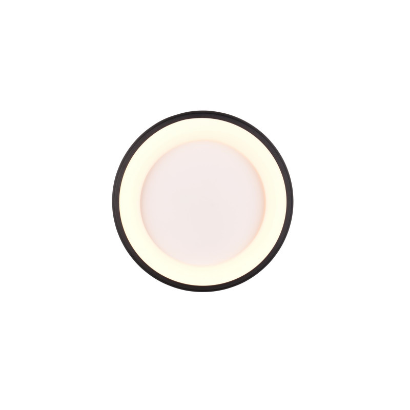 lampa sufitowa CARDONA 649614532 Trio | Sklep z lampami