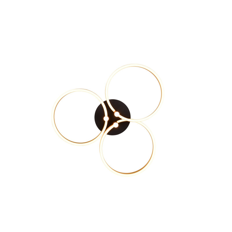 CARUSO 648110680