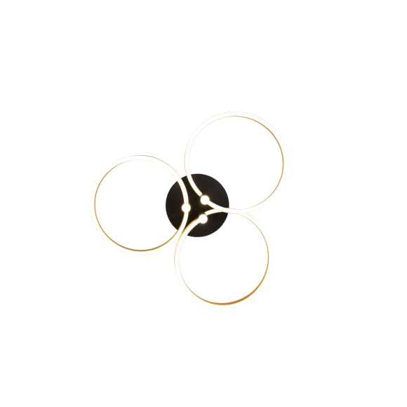 CARUSO 648110680