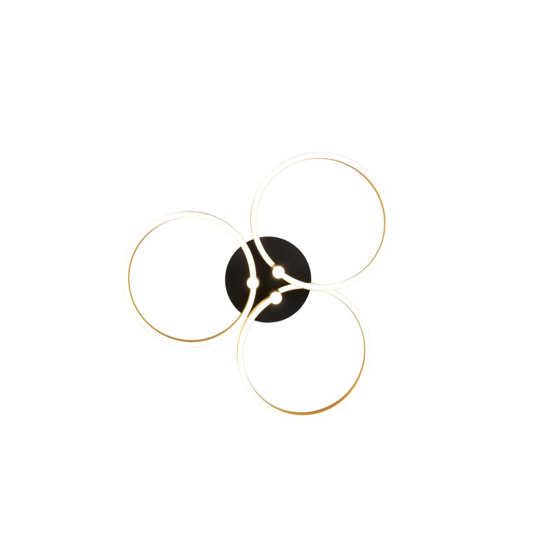 CARUSO 648110680