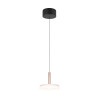 lampa wisząca CELESTE 354910165 Trio | Sklep z lampami