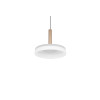 lampa wisząca CELESTE 354910165 Trio | Sklep z lampami