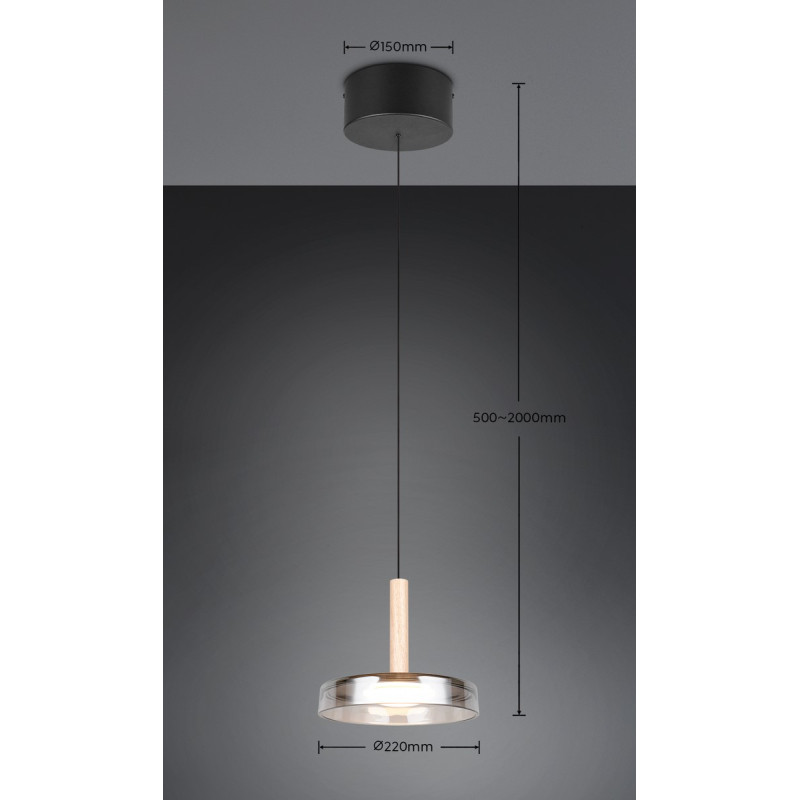 lampa wisząca CELESTE 354910132 Trio | Sklep z lampami