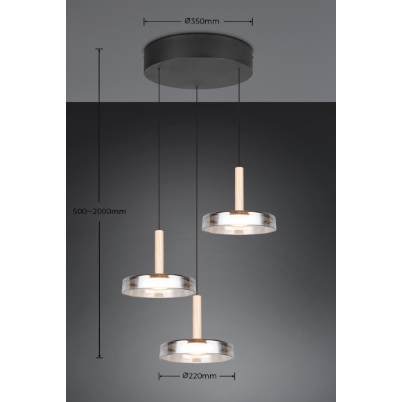lampa wisząca CELESTE 354930332 Trio | Sklep z lampami