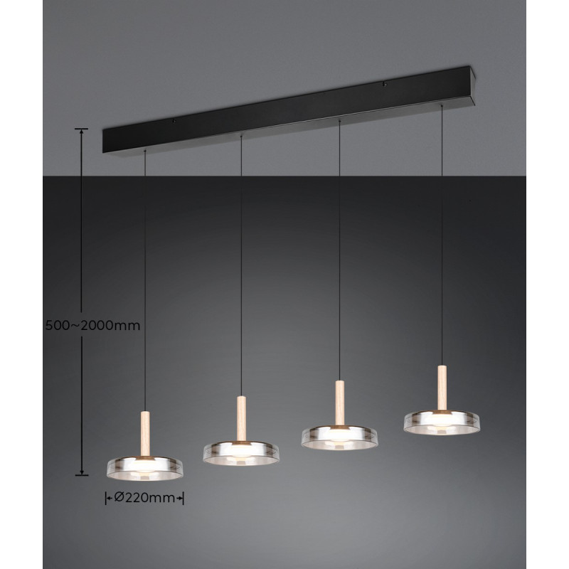 lampa wisząca CELESTE 354910432 Trio | Sklep z lampami