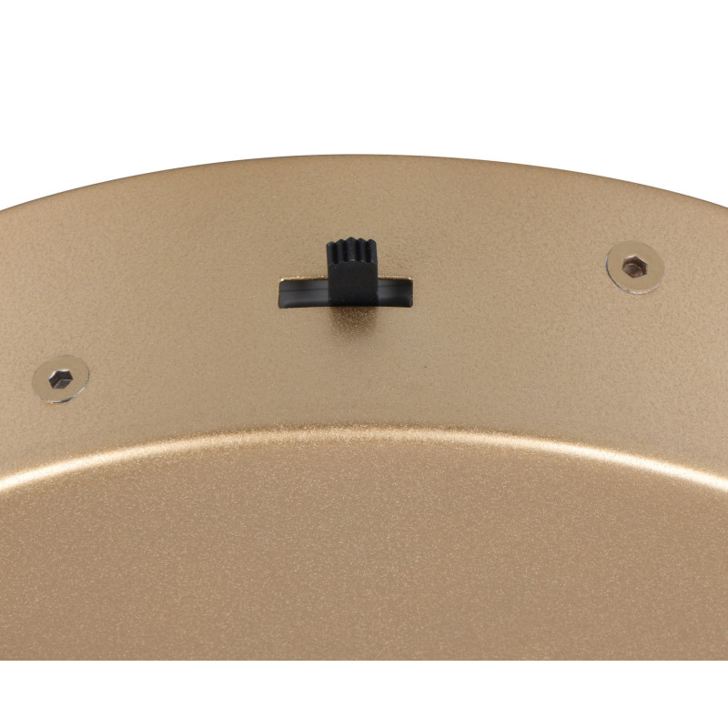 lampa wisząca DARVIN 349110179 Trio | Sklep z lampami