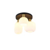 lampa sufitowa DIVA 619800308 Trio | Sklep z lampami