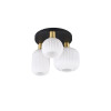 lampa sufitowa DIVA 619800308 Trio | Sklep z lampami