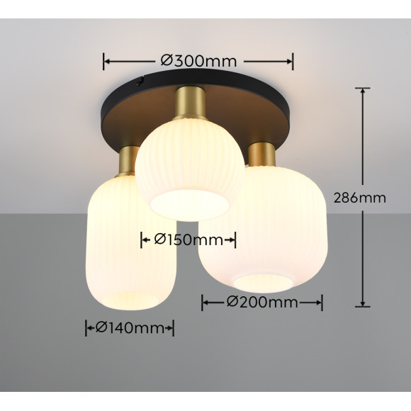 lampa sufitowa DIVA 619800308 Trio | Sklep z lampami