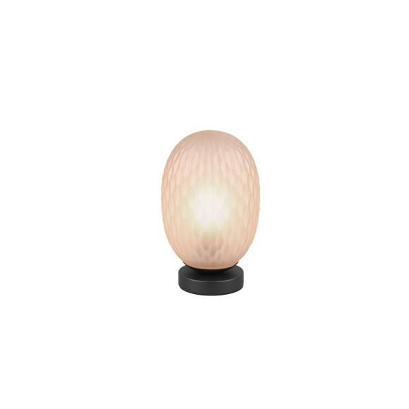FACETTE 564200113 FACETTE 564200113