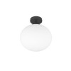 lampa sufitowa FOMENTO 663100132 Trio | Sklep z lampami lampa sufitowa FOMENTO 663100132 Trio | Sklep z lampami