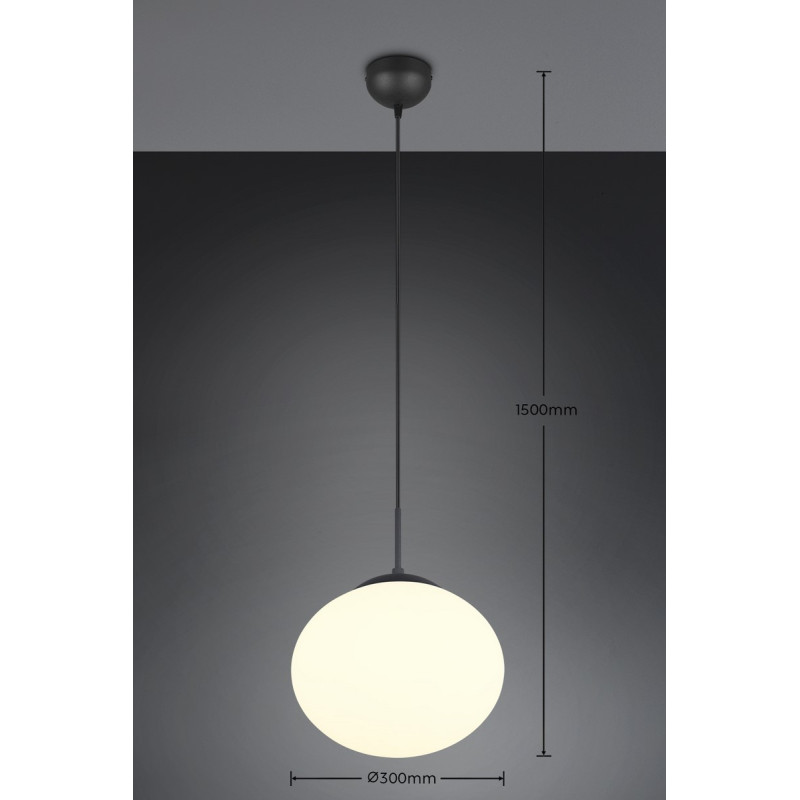 lampa wisząca FOMENTO 363100132 Trio | Sklep z lampami
