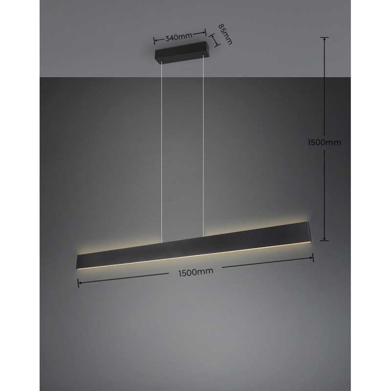 lampa wisząca GALWAY 349710132 Trio | Sklep z lampami