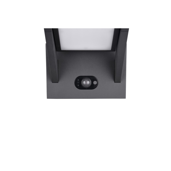 lampa MALAWI 253769142 Trio | Sklep z lampami lampa MALAWI 253769142 Trio | Sklep z lampami