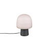 STEEN 568200132 STEEN 568200132