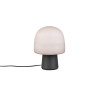 STEEN 568200132 STEEN 568200132