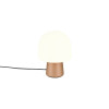 STEEN 568200165 STEEN 568200165