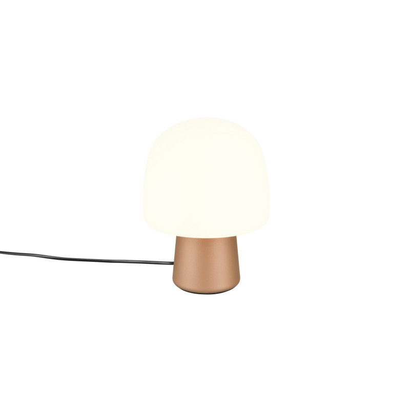 STEEN 568200165