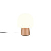 STEEN 568200165 STEEN 568200165