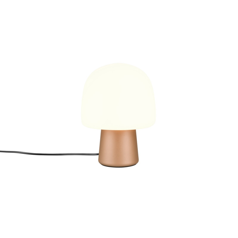 STEEN 568200165