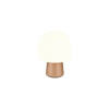 STEEN 568200165 STEEN 568200165
