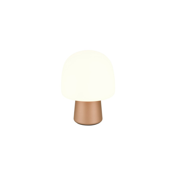 STEEN 568200165 STEEN 568200165